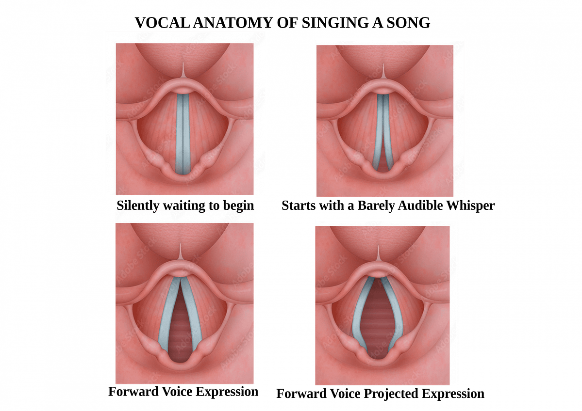 Vocal Health & Care