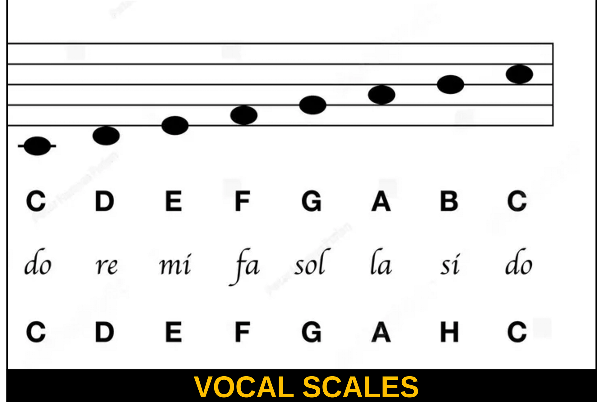 Vocal Scales